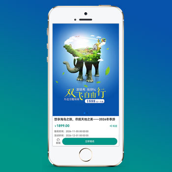 单页落地页推广网站模板 – 带复制微信号(独立手机版)